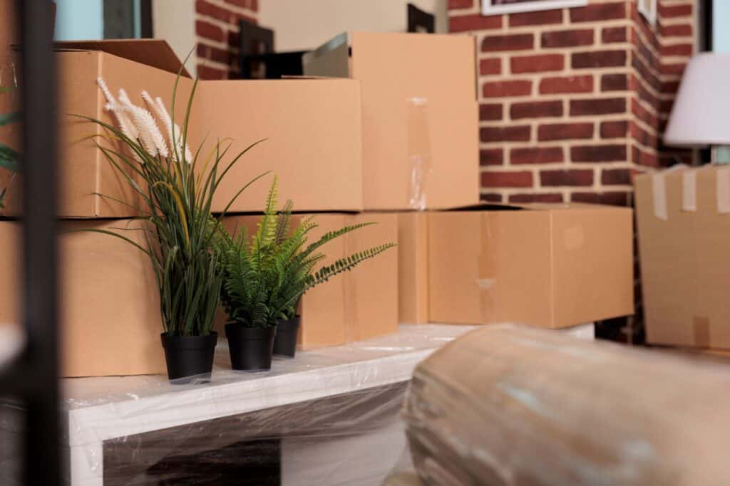 Cardboard boxes and wrapped sofa for a house move